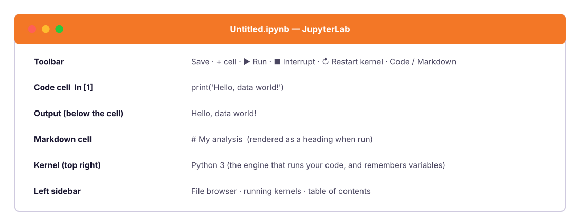 Anatomy of a Jupyter notebook.